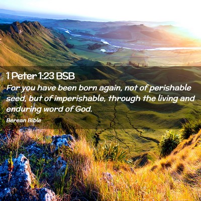 Picture 02 - 1 Peter 1:23 BSB - For you have been born again, not of perishable - Bible Verse Picture