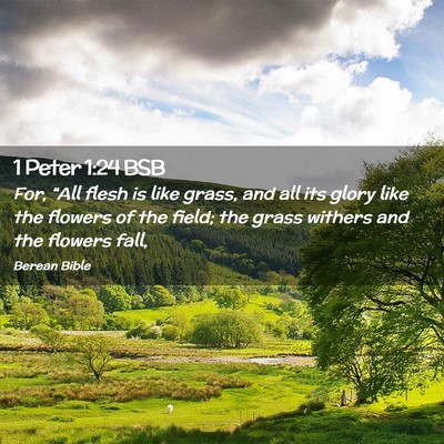 Picture 02 - 1 Peter 1:24 BSB - For, “All flesh is like grass, and all its - Bible Verse Picture