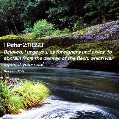 Picture 02 - 1 Peter 2:11 BSB - Beloved, I urge you, as foreigners and exiles, to - Bible Verse Picture