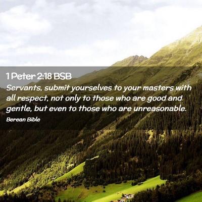 Picture 02 - 1 Peter 2:18 BSB - Servants, submit yourselves to your masters with - Bible Verse Picture