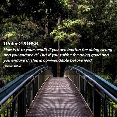 Picture 02 - 1 Peter 2:20 BSB - How is it to your credit if you are beaten for - Bible Verse Picture