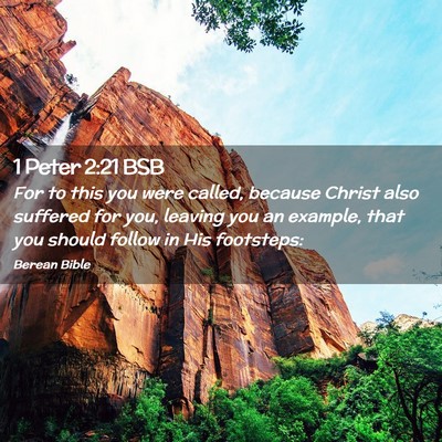 Picture 02 - 1 Peter 2:21 BSB - For to this you were called, because Christ also - Bible Verse Picture