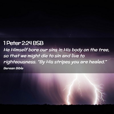 Picture 02 - 1 Peter 2:24 BSB - He Himself bore our sins in His body on the tree, - Bible Verse Picture