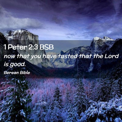 Picture 02 - 1 Peter 2:3 BSB - now that you have tasted that the Lord is - Bible Verse Picture