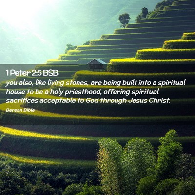 Picture 02 - 1 Peter 2:5 BSB - you also, like living stones, are being built - Bible Verse Picture