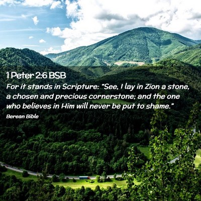Picture 02 - 1 Peter 2:6 BSB - For it stands in Scripture: “See, I lay in Zion - Bible Verse Picture