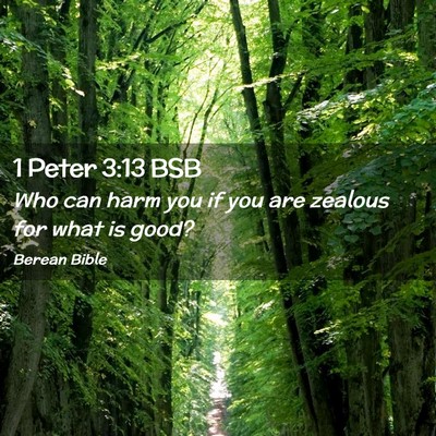 Picture 02 - 1 Peter 3:13 BSB - Who can harm you if you are zealous for what is - Bible Verse Picture