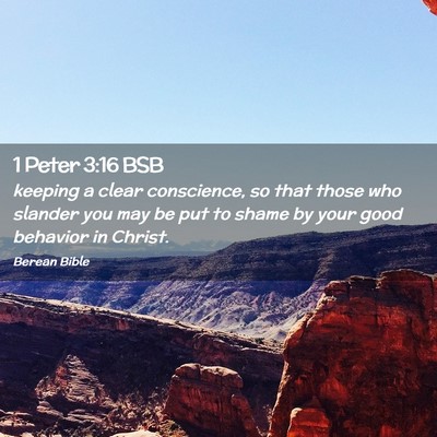 Picture 02 - 1 Peter 3:16 BSB - keeping a clear conscience, so that those who - Bible Verse Picture
