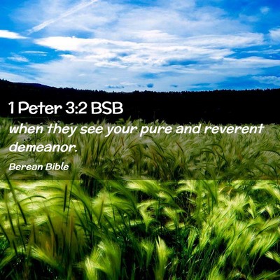 Picture 02 - 1 Peter 3:2 BSB - when they see your pure and reverent - Bible Verse Picture