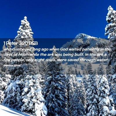 Picture 02 - 1 Peter 3:20 BSB - who disobeyed long ago when God waited patiently - Bible Verse Picture