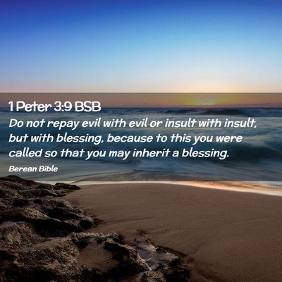 Picture 02 - 1 Peter 3:9 BSB - Do not repay evil with evil or insult with - Bible Verse Picture