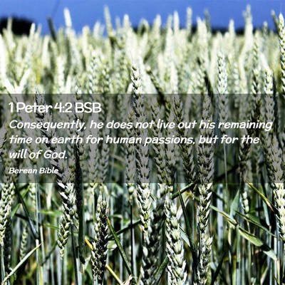 Picture 02 - 1 Peter 4:2 BSB - Consequently, he does not live out his remaining - Bible Verse Picture