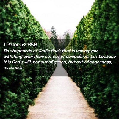 Picture 02 - 1 Peter 5:2 BSB - Be shepherds of God’s flock that is among you, - Bible Verse Picture
