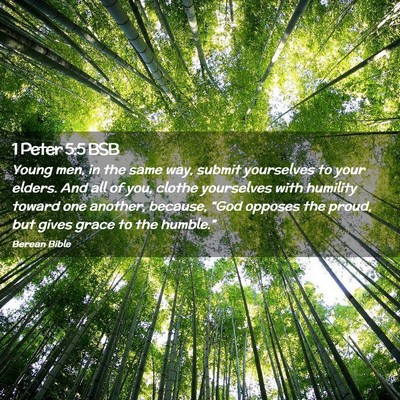 Picture 02 - 1 Peter 5:5 BSB - Young men, in the same way, submit yourselves to - Bible Verse Picture