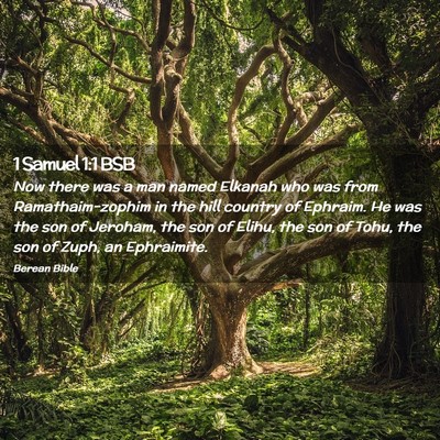 Picture 02 - 1 Samuel 1:1 BSB - Now there was a man named Elkanah who was from - Bible Verse Picture