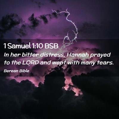 Picture 02 - 1 Samuel 1:10 BSB - In her bitter distress, Hannah prayed to the LORD - Bible Verse Picture