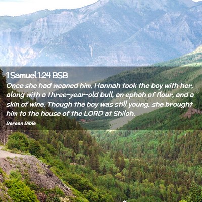 Picture 02 - 1 Samuel 1:24 BSB - Once she had weaned him, Hannah took the boy with - Bible Verse Picture