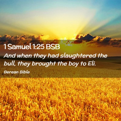 Picture 02 - 1 Samuel 1:25 BSB - And when they had slaughtered the bull, they - Bible Verse Picture
