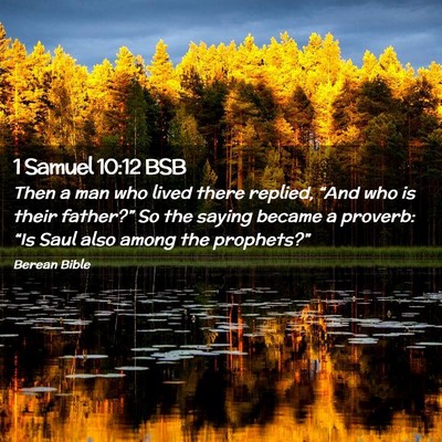 Picture 02 - 1 Samuel 10:12 BSB - Then a man who lived there replied, “And who is - Bible Verse Picture