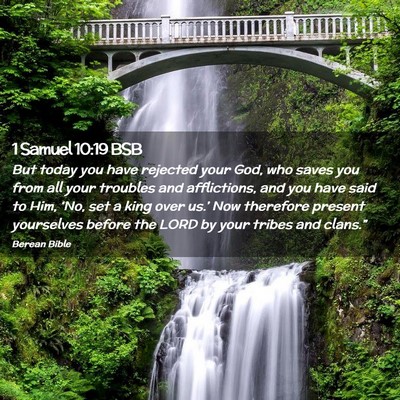 Picture 02 - 1 Samuel 10:19 BSB - But today you have rejected your God, who saves - Bible Verse Picture