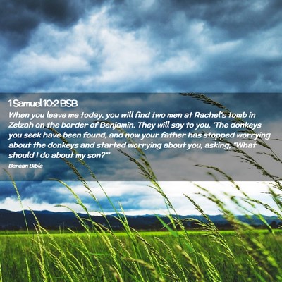 Picture 02 - 1 Samuel 10:2 BSB - When you leave me today, you will find two men at - Bible Verse Picture