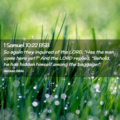 Picture 02 - 1 Samuel 10:22 BSB - So again they inquired of the LORD, “Has the - Bible Verse Picture