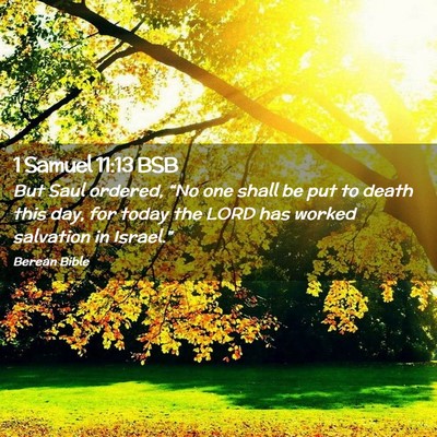 Picture 02 - 1 Samuel 11:13 BSB - But Saul ordered, “No one shall be put to death - Bible Verse Picture
