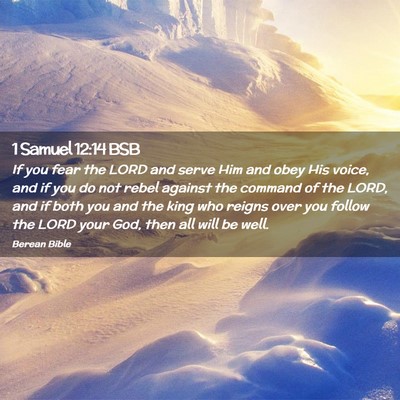 Picture 02 - 1 Samuel 12:14 BSB - If you fear the LORD and serve Him and obey His - Bible Verse Picture