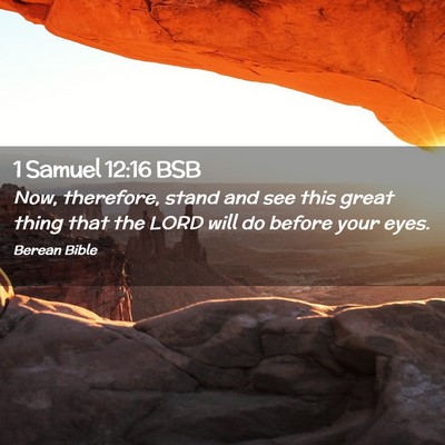 Picture 02 - 1 Samuel 12:16 BSB - Now, therefore, stand and see this great thing - Bible Verse Picture