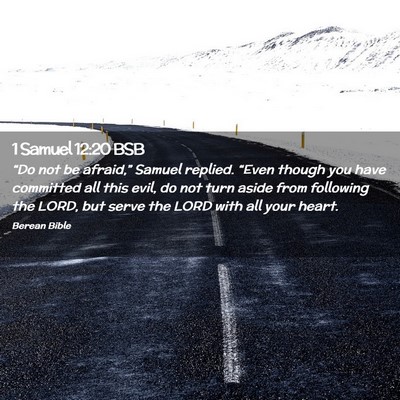 Picture 02 - 1 Samuel 12:20 BSB - “Do not be afraid,” Samuel replied. “Even - Bible Verse Picture