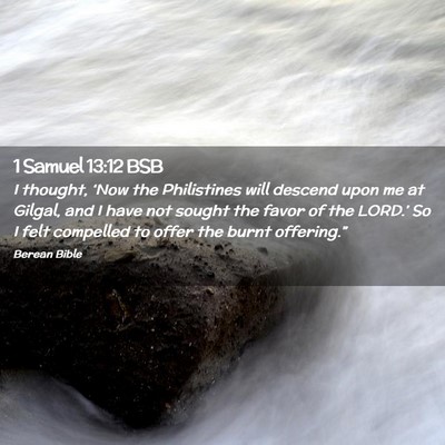 Picture 02 - 1 Samuel 13:12 BSB - I thought, ‘Now the Philistines will descend - Bible Verse Picture