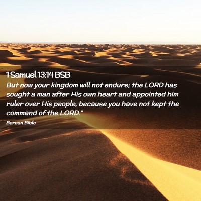 Picture 02 - 1 Samuel 13:14 BSB - But now your kingdom will not endure; the LORD - Bible Verse Picture