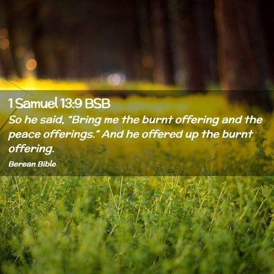 Picture 02 - 1 Samuel 13:9 BSB - So he said, “Bring me the burnt offering and - Bible Verse Picture
