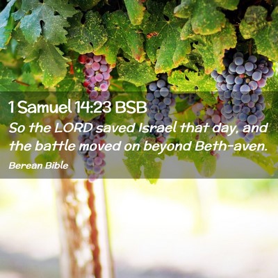Picture 02 - 1 Samuel 14:23 BSB - So the LORD saved Israel that day, and the battle - Bible Verse Picture