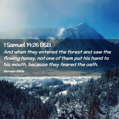 Picture 02 - 1 Samuel 14:26 BSB - And when they entered the forest and saw the - Bible Verse Picture