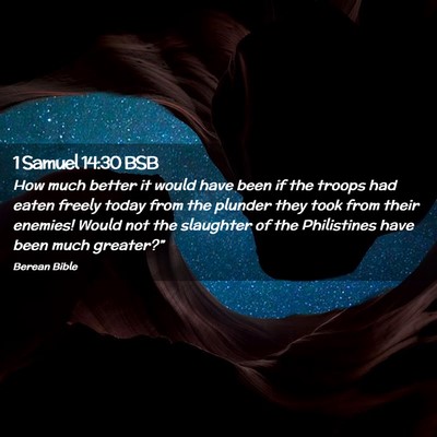 Picture 02 - 1 Samuel 14:30 BSB - How much better it would have been if the troops - Bible Verse Picture