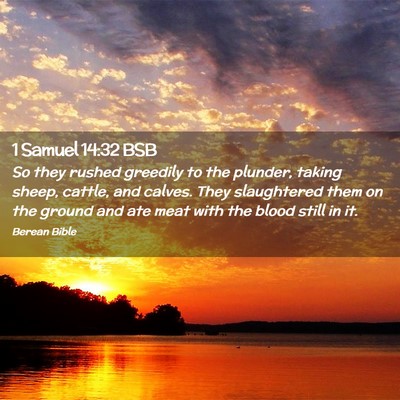 Picture 02 - 1 Samuel 14:32 BSB - So they rushed greedily to the plunder, taking - Bible Verse Picture