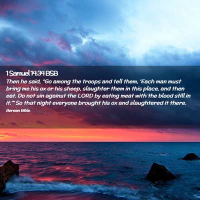 Picture 02 - 1 Samuel 14:34 BSB - Then he said, “Go among the troops and tell - Bible Verse Picture