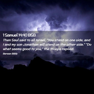 Picture 02 - 1 Samuel 14:40 BSB - Then Saul said to all Israel, “You stand on one - Bible Verse Picture