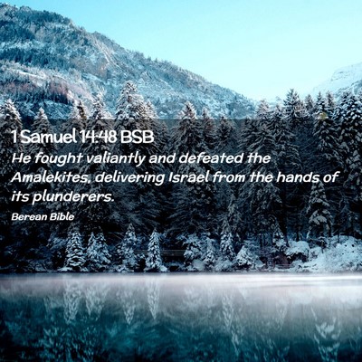 Picture 02 - 1 Samuel 14:48 BSB - He fought valiantly and defeated the Amalekites, - Bible Verse Picture