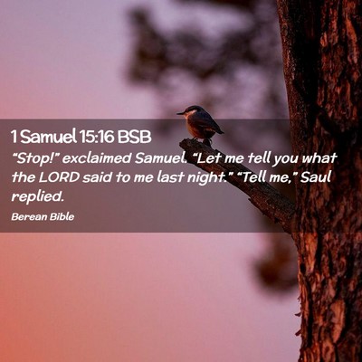Picture 02 - 1 Samuel 15:16 BSB - “Stop!” exclaimed Samuel. “Let me tell you - Bible Verse Picture