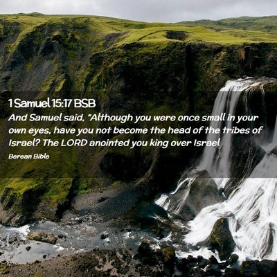 Picture 02 - 1 Samuel 15:17 BSB - And Samuel said, “Although you were once small - Bible Verse Picture