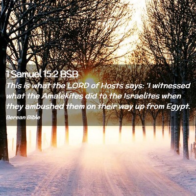 Picture 02 - 1 Samuel 15:2 BSB - This is what the LORD of Hosts says: ‘I - Bible Verse Picture