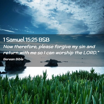 Picture 02 - 1 Samuel 15:25 BSB - Now therefore, please forgive my sin and return - Bible Verse Picture