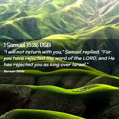 Picture 02 - 1 Samuel 15:26 BSB - “I will not return with you,” Samuel replied. - Bible Verse Picture