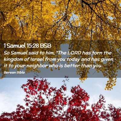 Picture 02 - 1 Samuel 15:28 BSB - So Samuel said to him, “The LORD has torn the - Bible Verse Picture