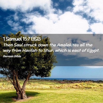 Picture 02 - 1 Samuel 15:7 BSB - Then Saul struck down the Amalekites all the way - Bible Verse Picture