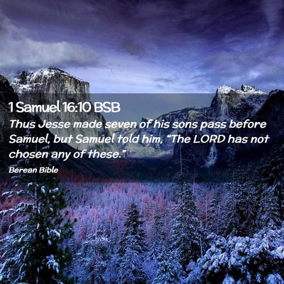 Picture 02 - 1 Samuel 16:10 BSB - Thus Jesse made seven of his sons pass before - Bible Verse Picture