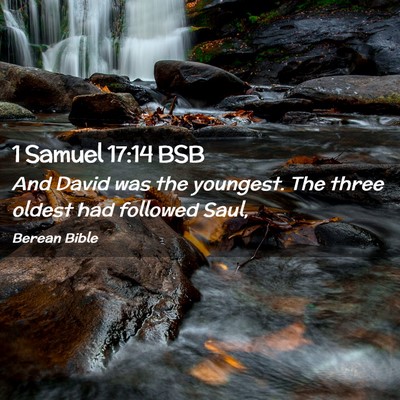 Picture 02 - 1 Samuel 17:14 BSB - And David was the youngest. The three oldest had - Bible Verse Picture
