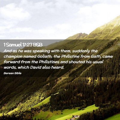 Picture 02 - 1 Samuel 17:23 BSB - And as he was speaking with them, suddenly the - Bible Verse Picture